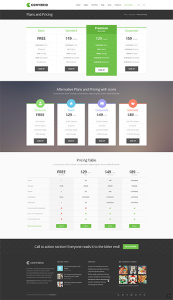 Premium WP Theme screen 1